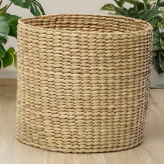 Hunin Kaun Grass Planter