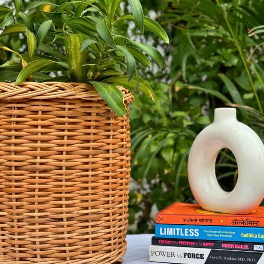 Rop Woven Round Planter