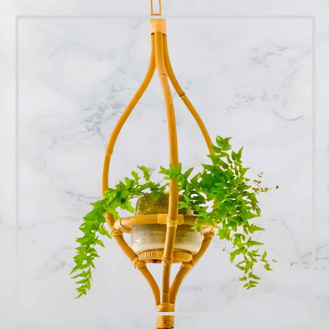 Rot Hanging Cane Planter