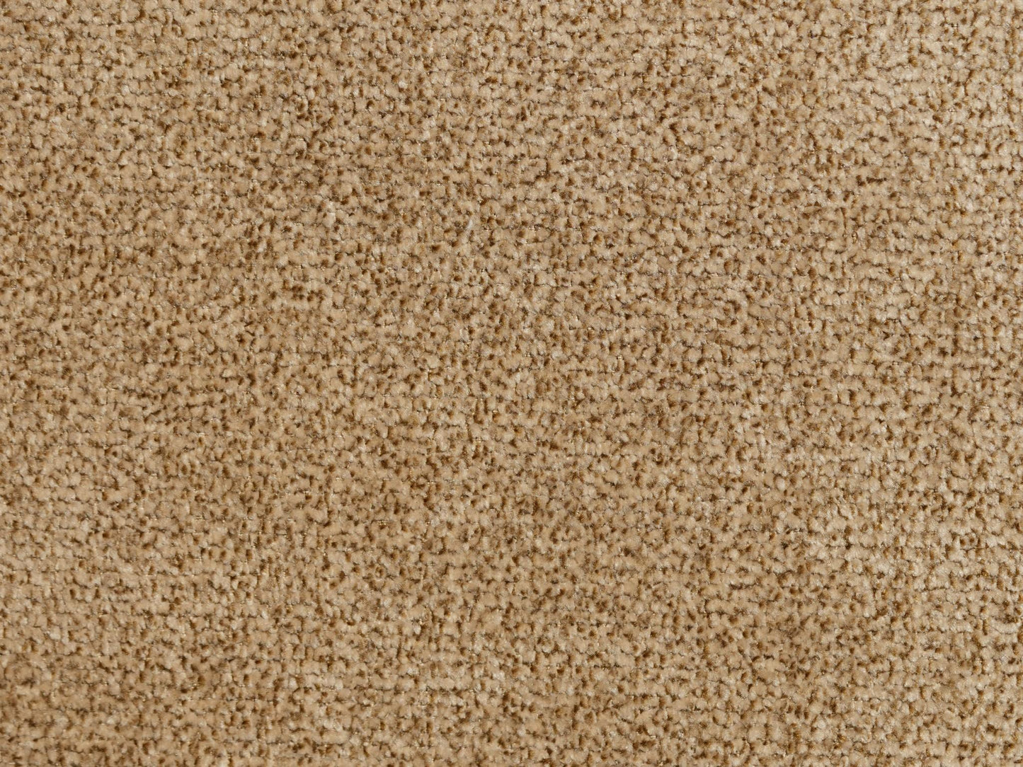 Close-up of beige carpet texture