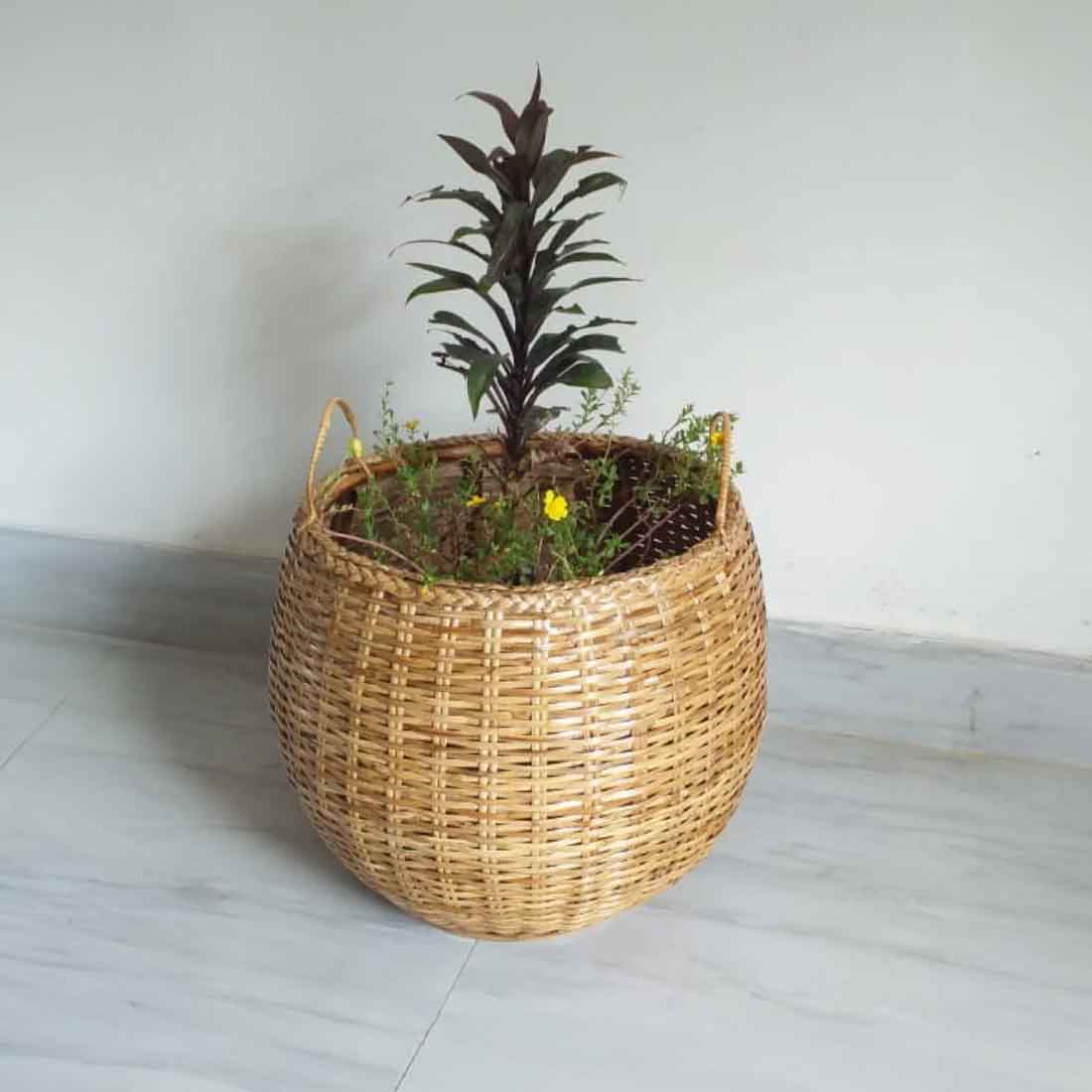 Kimur Woven Cane Planter