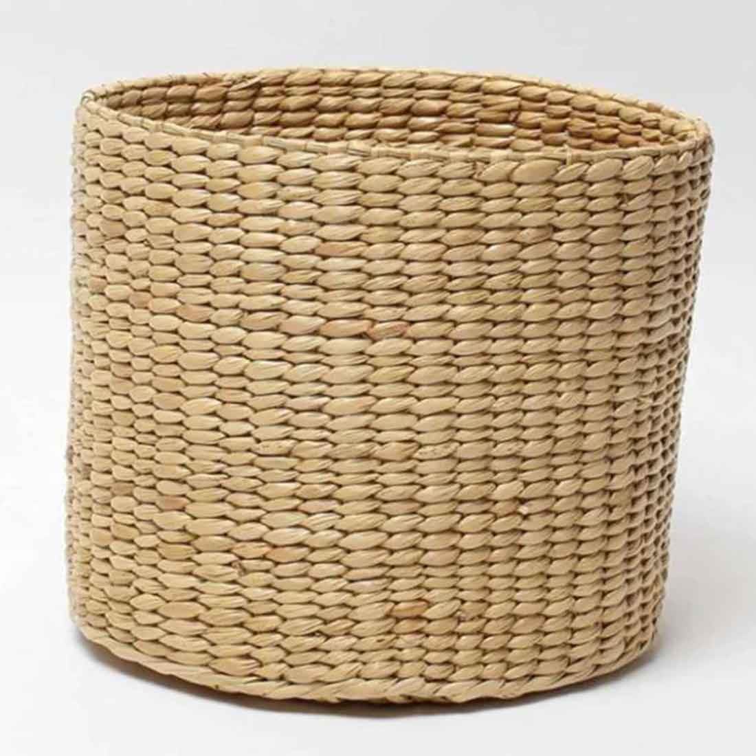 Hunin Kaun Grass Planter