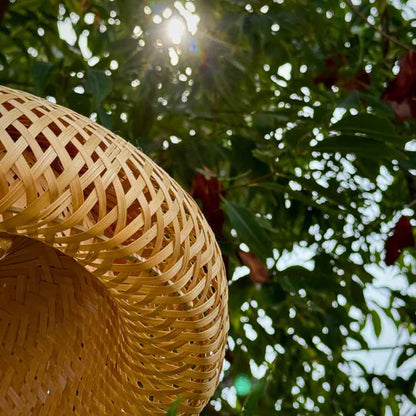 Hanging Lampshade (Without Electrical Accessories)