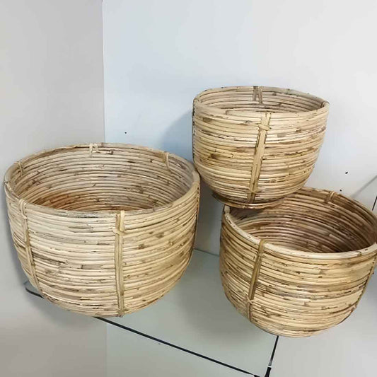 Pahi Coiled Cane Planter
