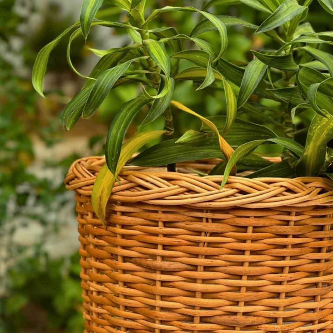 Rop Woven Round Planter