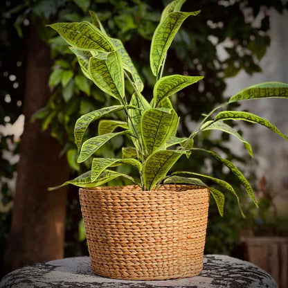Ketu Round Woven Planter