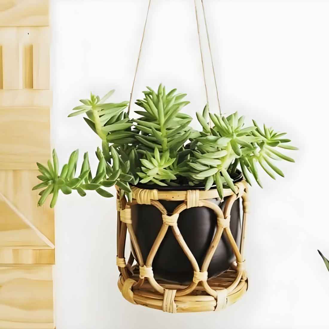 Jho Hanging Cane Planter