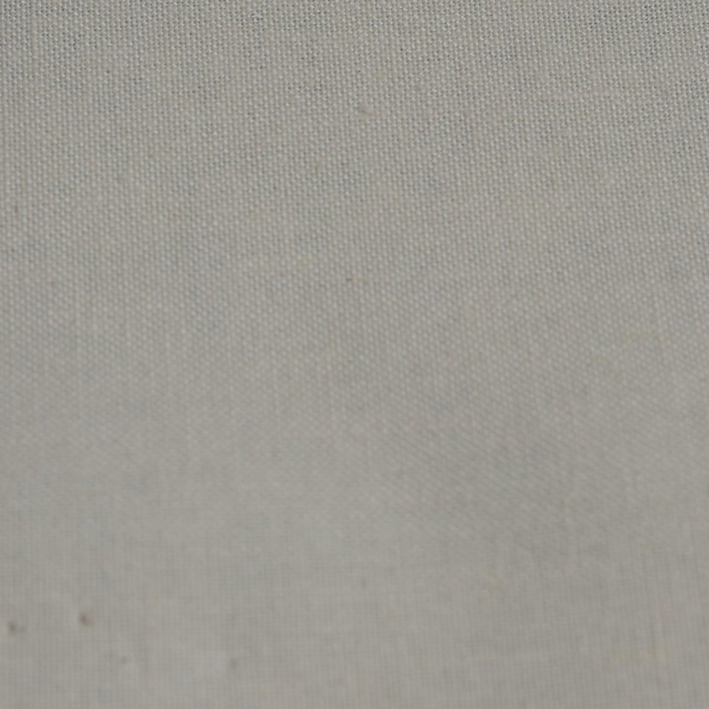 Puritina Slubbed Solid Fabric